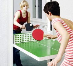 Dual Purpose - Ping Pong table and door