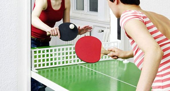 Dual Purpose - Ping Pong table and door